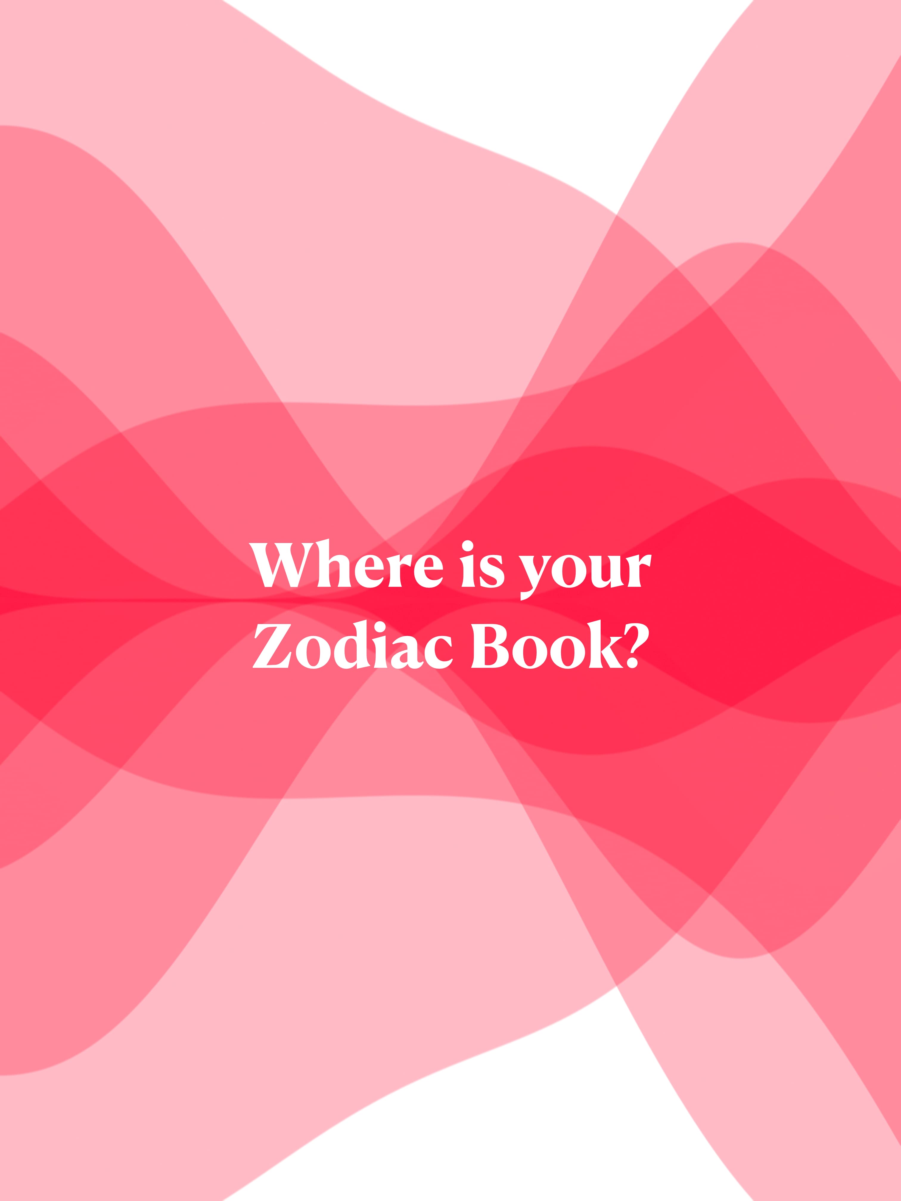 Leo - Constellation Notebook - Detail 7